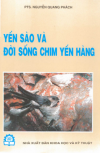 Image of yến sào và đời sống chim yến hàng