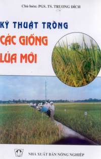 Image of kỹ thuật trồng các giống lúa mới
